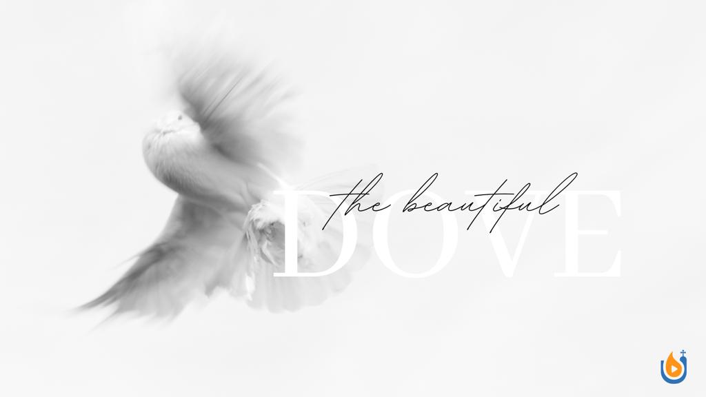 The Beautiful Dove